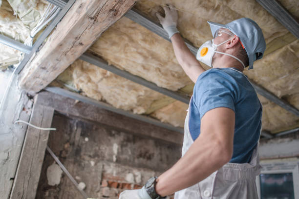 Best Insulation for Specific Applications in Cherryvale, SC