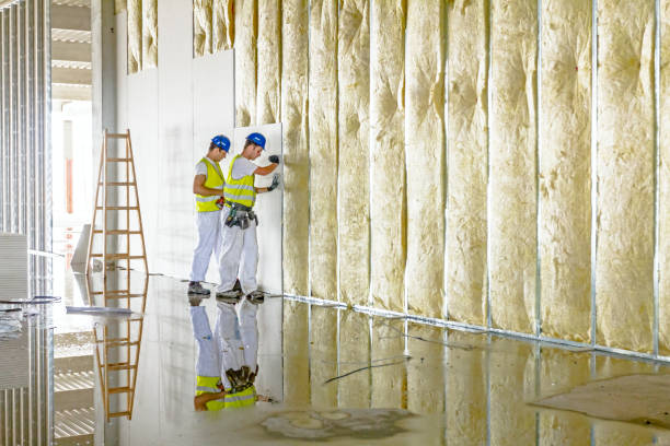Professional Insulation Contractor in Cherryvale, SC